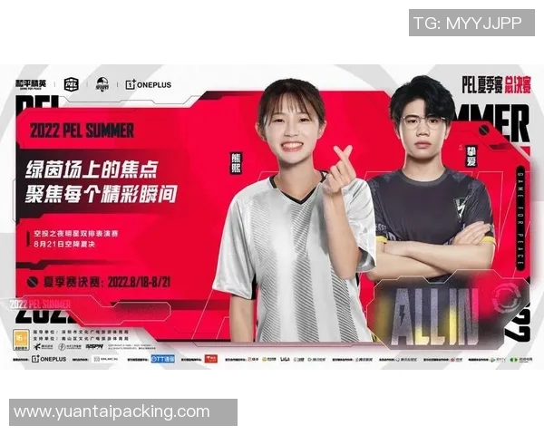 深度对话王敏探讨和平精英背后的成长与人生哲学